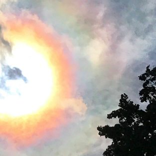 It Took “The Sun” To Eclipse Donald Trump Web Viewership