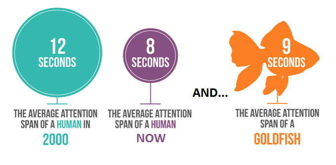 human attention span graph