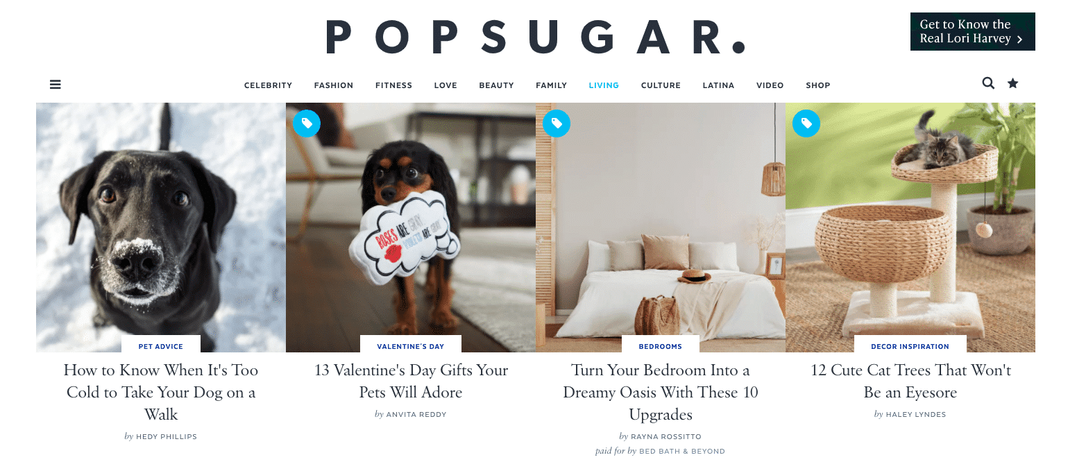 Cute Dog GIFs  POPSUGAR Pets