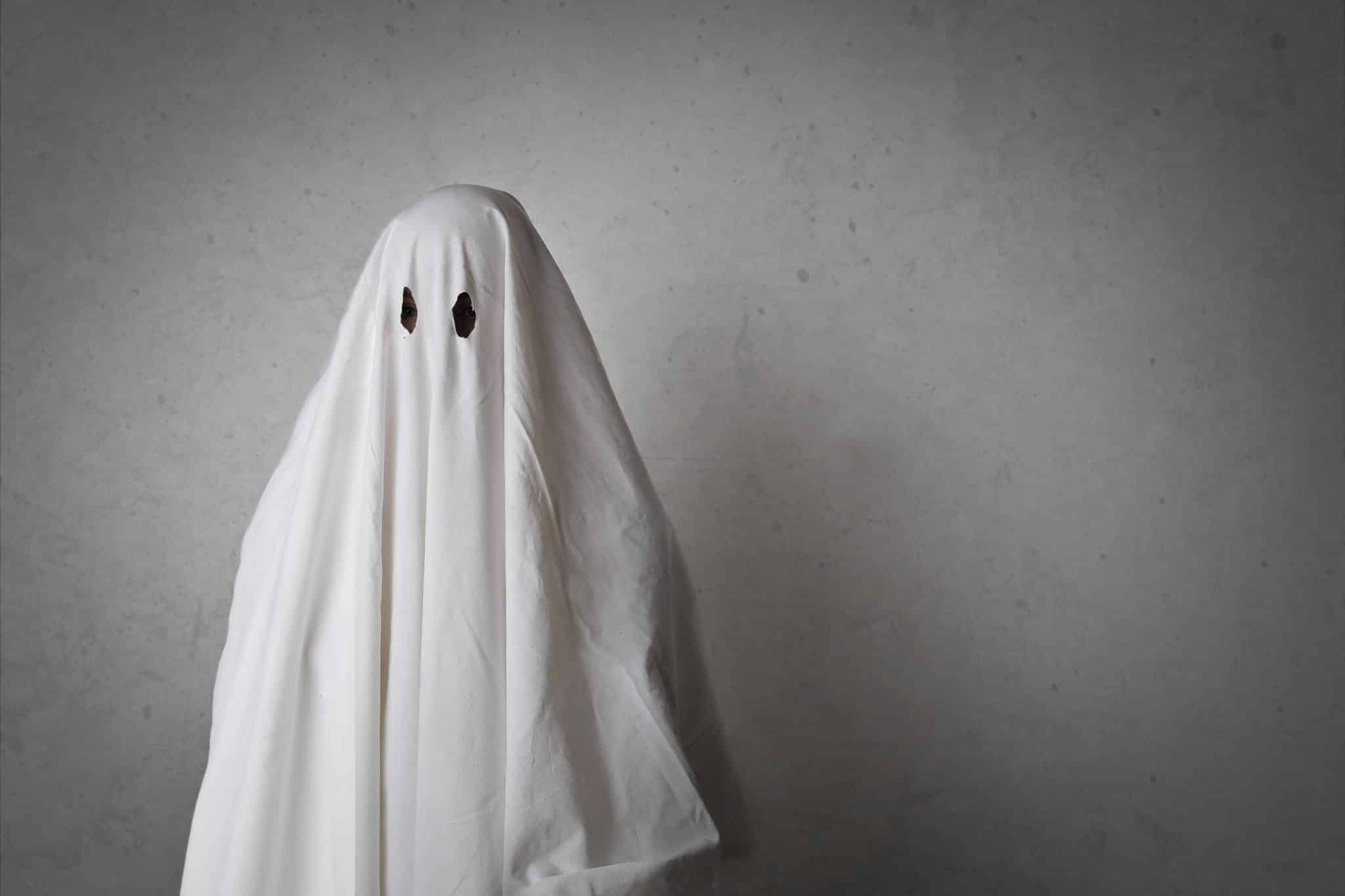 White ghost. As White as a Ghost. Ghost White цвет. Frilled White Ghost.